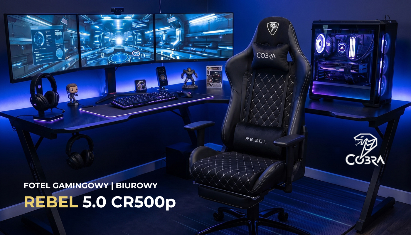 CR500_1